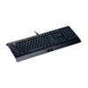Kép 3/3 - Razer Cynosa Lite Gamer Billentyűzet US